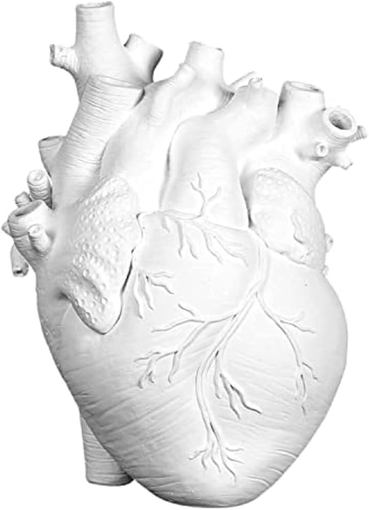 Resin Vase Planter, Decorative Heart Vase - Anatomical Heart Tabletop Decorative Craft, Farmhouse... | Amazon (US)