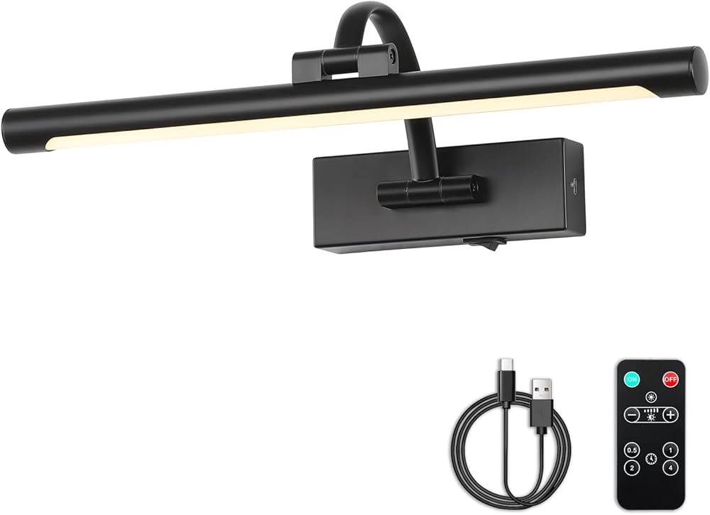 Picture Lights Battery Operated with Remote and Dimmable Function, Rechargeable Gallery Light Bla... | Amazon (US)