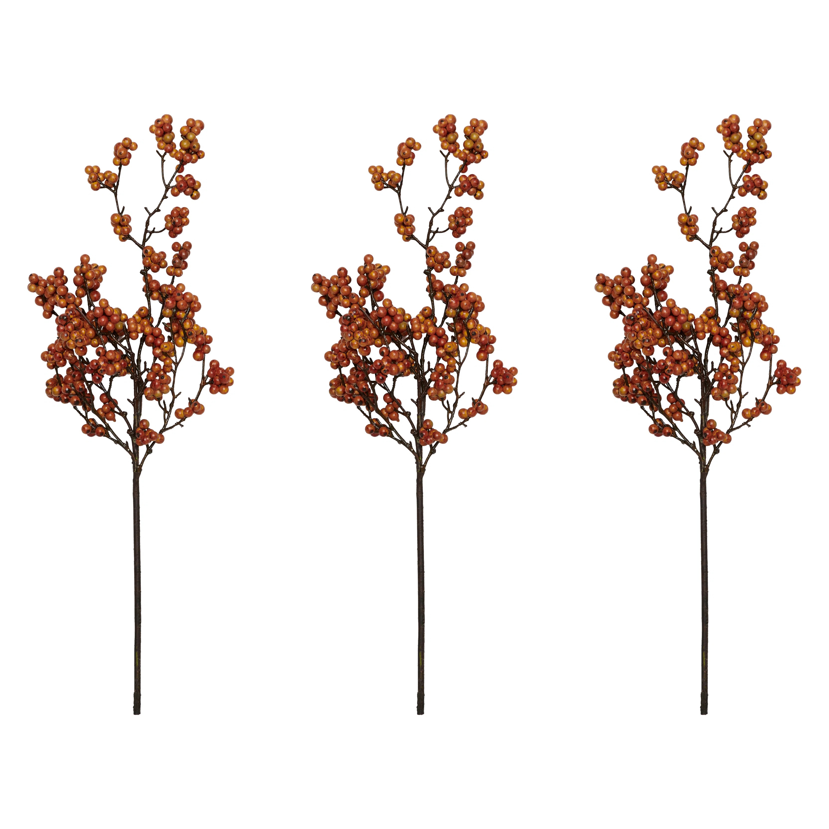 Berry Spray | Wayfair North America