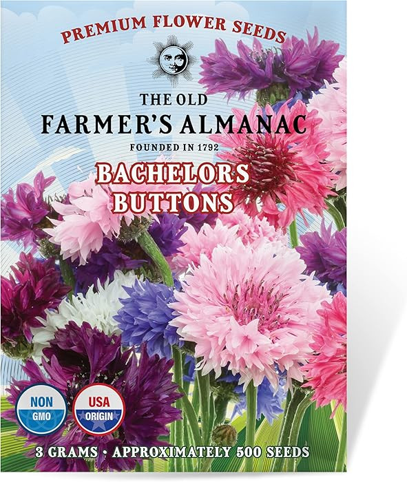 The Old Farmer's Almanac Bachelors Buttons Seeds - Approx 500 Flower Seeds - Non-GMO, Premium, Op... | Amazon (US)