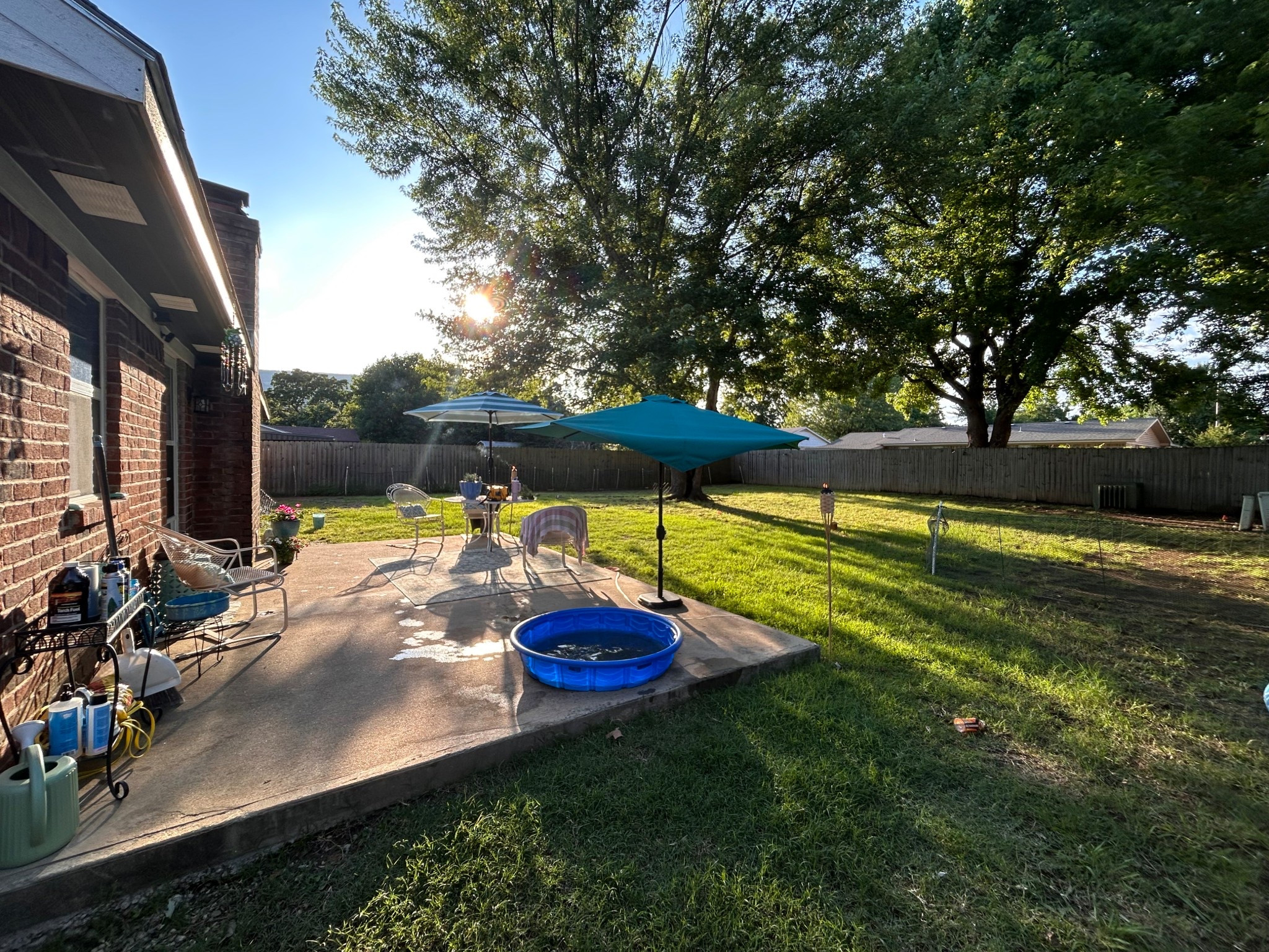Backyard turned dog paradise #dogpool #summer #firsthomevibes 