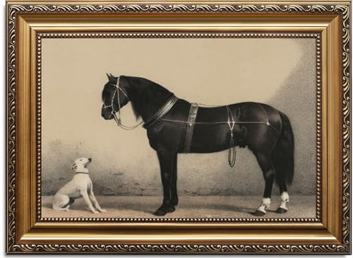 ASTRDECOR Classic Horse & Dog Wall Art Prints, Vintage Rustic Farmhouse Country Wall Decor, Vintage Western Canvas Prints, Antique Picture Frame Oil Painting for Living Room, Office, Bedroom - 20x30In | Amazon (US)