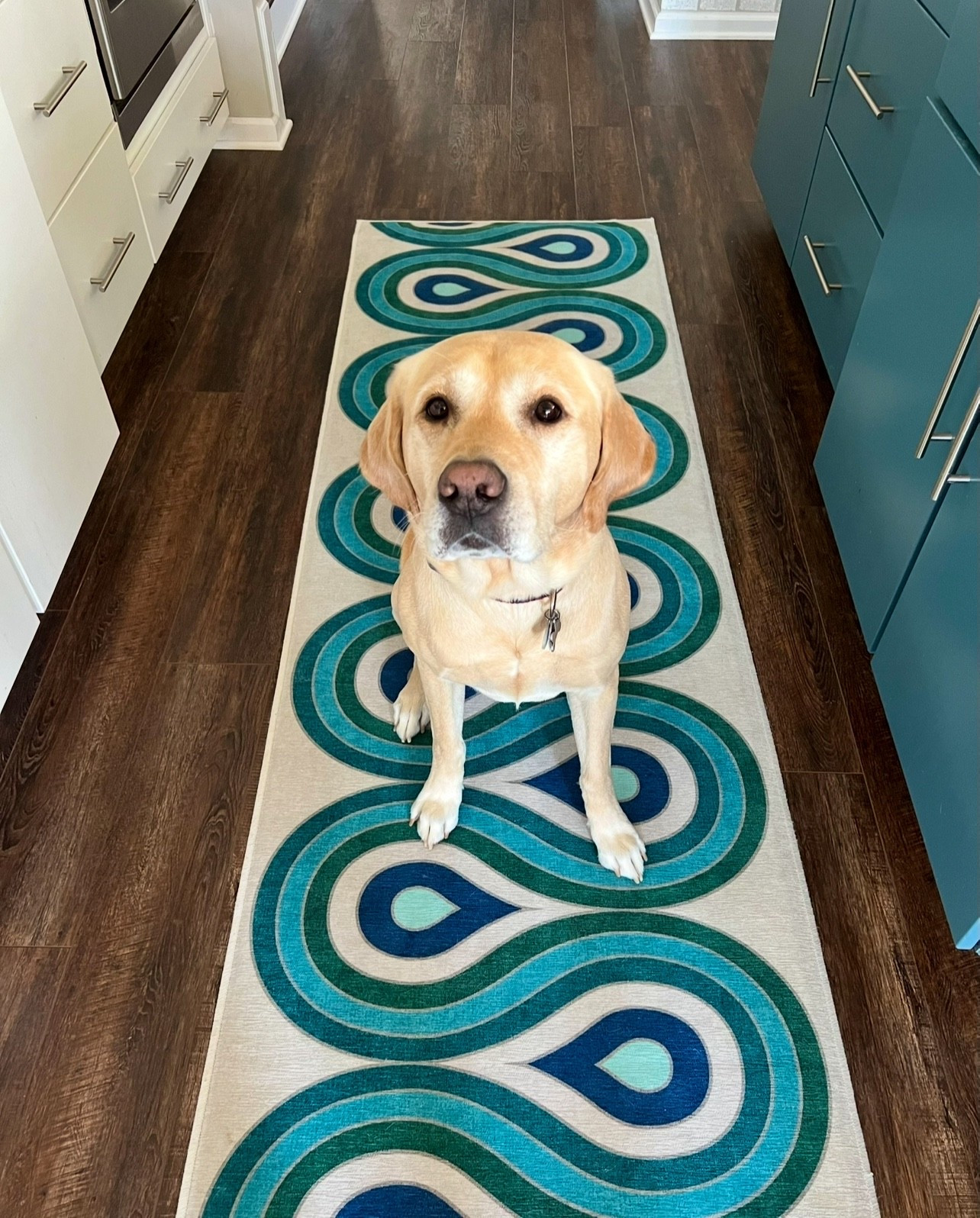 My most requested rug is on sale for the holidays!🎄 Machine washable and  great for high traffic areas. Kitchen runner that makes a statement 💙💚🩵

#LTKHome #LTKSaleAlert