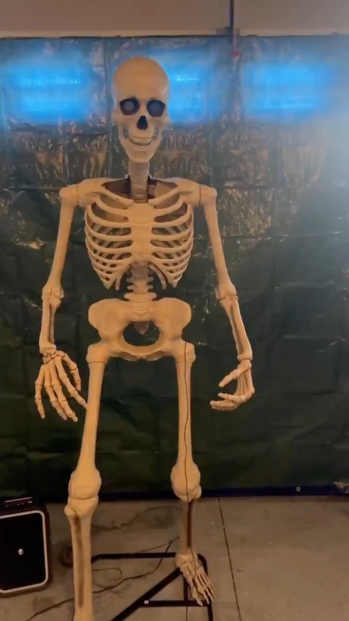 Halloween decor doesn’t have to be expensive 🎃🦴 I found the cutest skeleton decor including the viral 12 foot skeleton PLUS so many under $50 finds from Amazon, Etsy, Home Depot, Pottery Barn & Birch Lane. Perfect for creating a spooky but still cozy aesthetic without overspending. These are the pieces that sell out FAST every year!!

#budgethalloween #halloweendecor #under50finds #skeletondecor #12footskeleton #amazondeals #etsyhalloween #homedepotdecor #potterybarnhome #birchlanefinds #spookyseason #falldecorideas #ltkhome #ltkbudget #cozyspooky #halloweeninspo #dealsalert 

 #LTKSeasonal #LTKHome #LTKSaleAlert