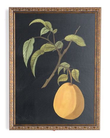 18x24 Citrus Botanical Ornate Pattern Gold Framed Wall Art | TJ Maxx