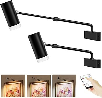 PESUTEN Battery Operated Picture Light, Adjustable Length Wireless Art Light for Paintings CCT Di... | Amazon (US)