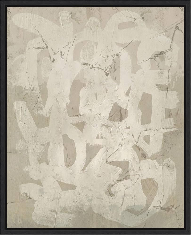 Amanti Art Framed Canvas Wall Art 28x23 Impasto Artifact II by June Erica Vess, Framed Wall Art C... | Amazon (US)