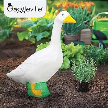 Fox Valley Traders | Amazon (US)