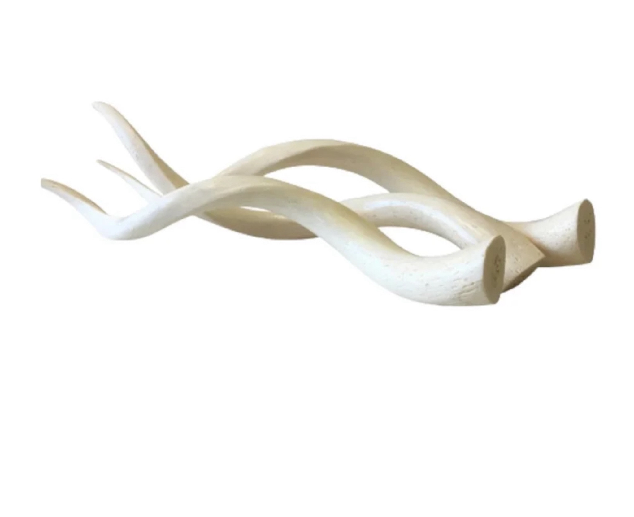 Kudu Horn Animal Head | Center Piece Decor| Handmade Farmhouse Decor - Stone Wash (cruelty-free)

#LTKStyleTip #LTKHome #LTKOver40