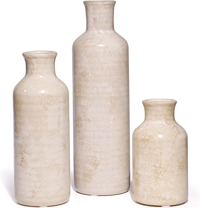 BIGIVACA Ceramic Vases,Set of 3 Decor Table Vases, Farmhouse Small Flower Vase Sets, Rustic Decor... | Amazon (US)