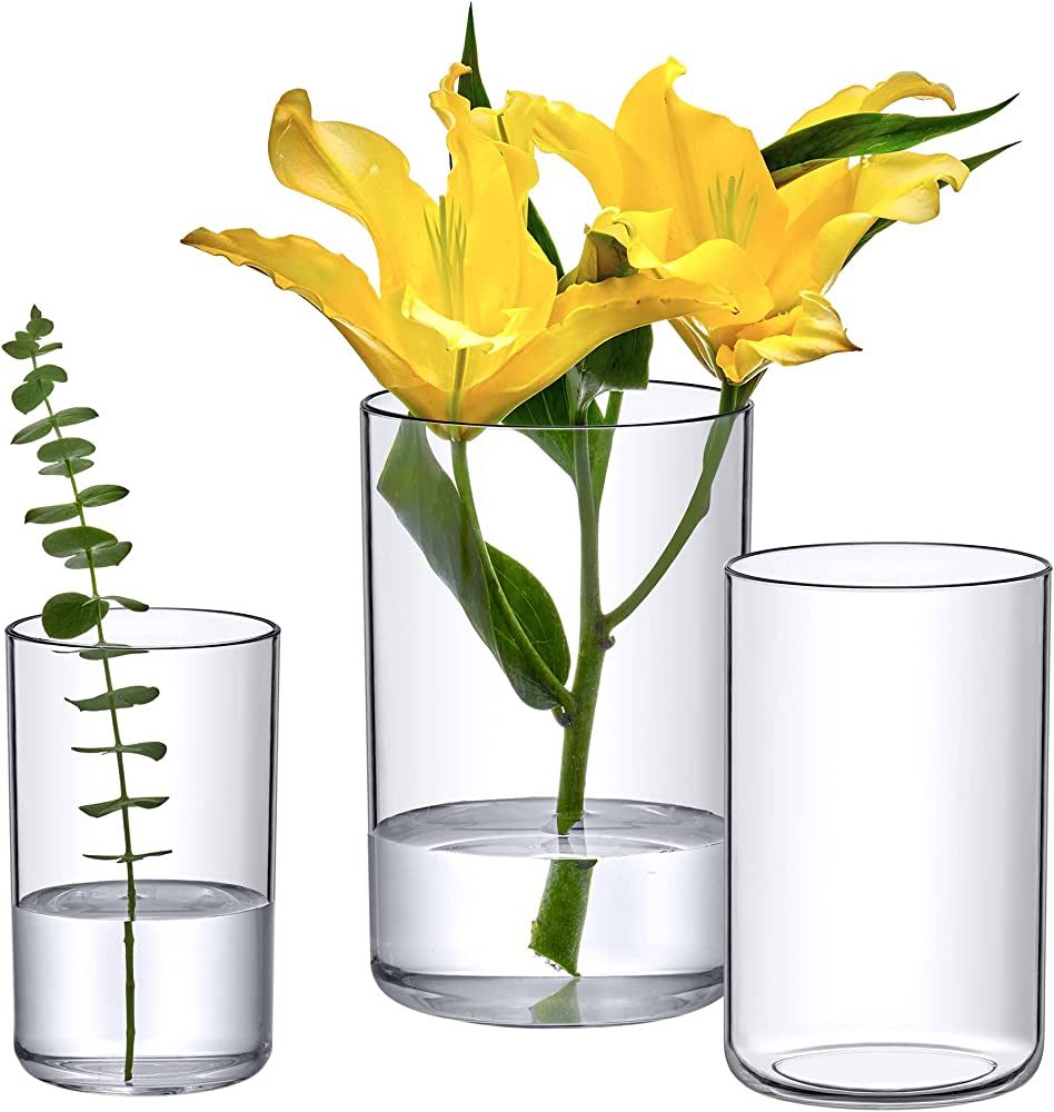 Amazon.com: Amazing Abby Plastic Cylindrical Vases - 3-Piece Set, 6" + 8" + 9" (H) : Everything E... | Amazon (US)