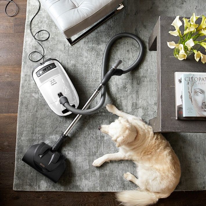 Miele Complete C3 Cat & Dog Vacuum | Williams-Sonoma
