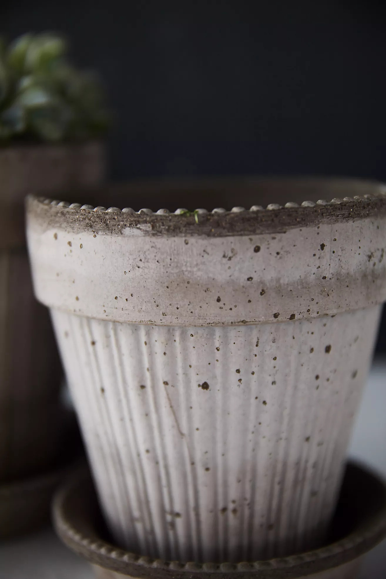 Bergs Simona Terracotta Pot + Saucer Set | Anthropologie (US)