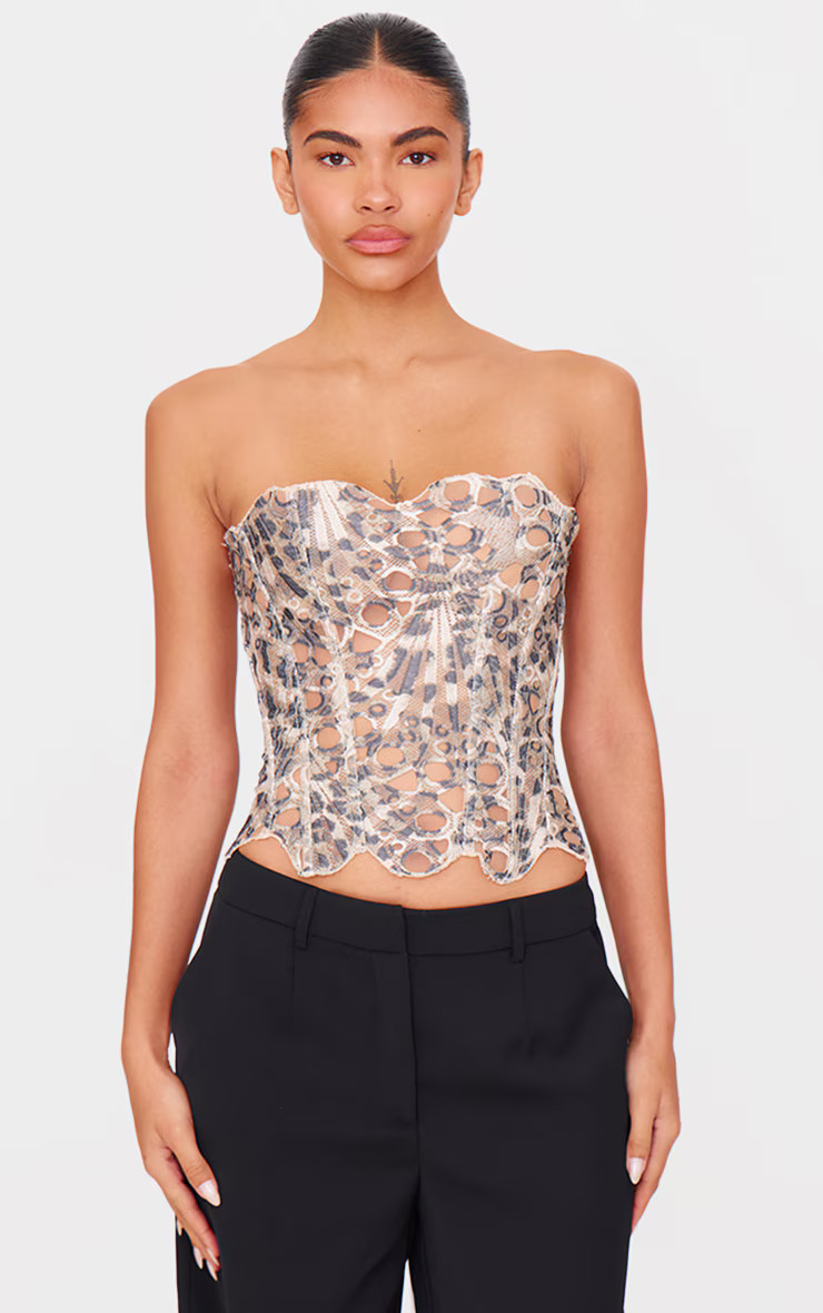 Brown Leopard Print Textured Sheer Floral Lace Corset | PrettyLittleThing UK