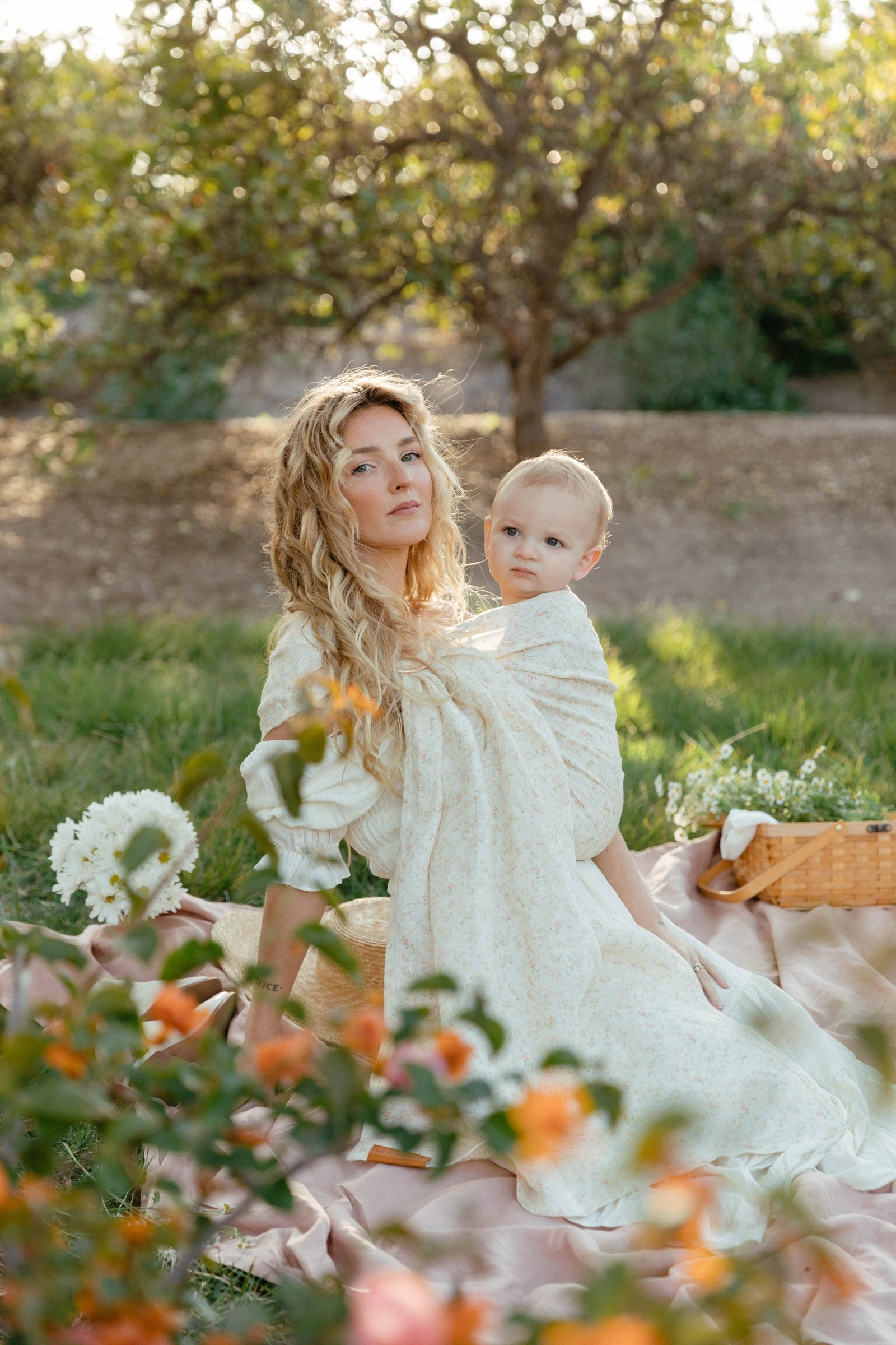 Begonia - Pattern | Wildbird