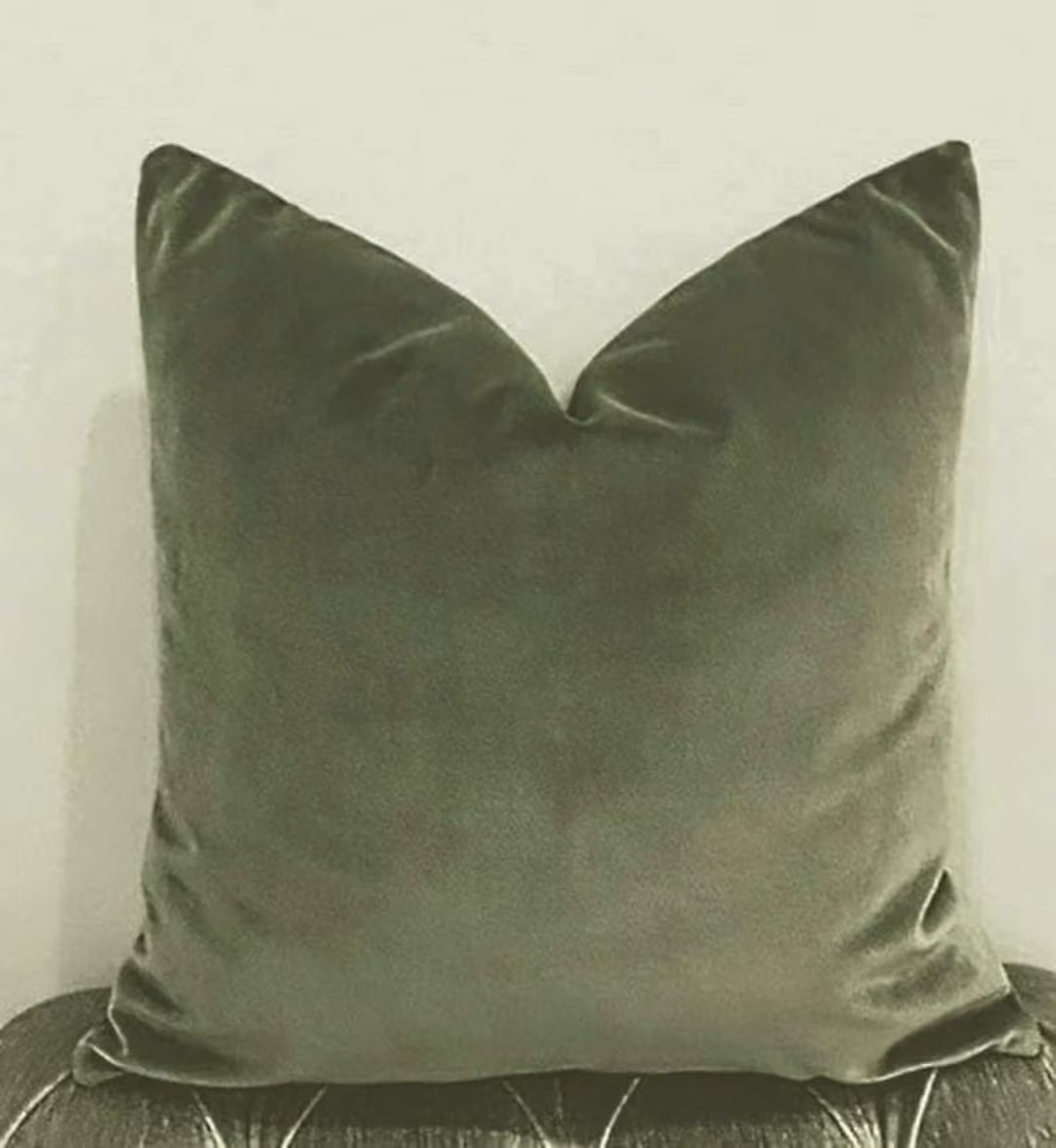 Sage Green Velvet Pillow Cover Luxury Decorative Throw Pillows Custom Made Eurosham Pillows Desig... | Etsy (US)