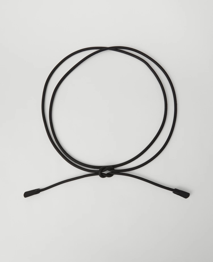 Metal Loop Braided Wrap Belt | Ann Taylor