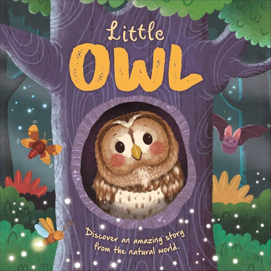 Nature Stories: Little Owl-Discover an Amazing Story from the Natural World: Padded Board Book | Amazon (US)