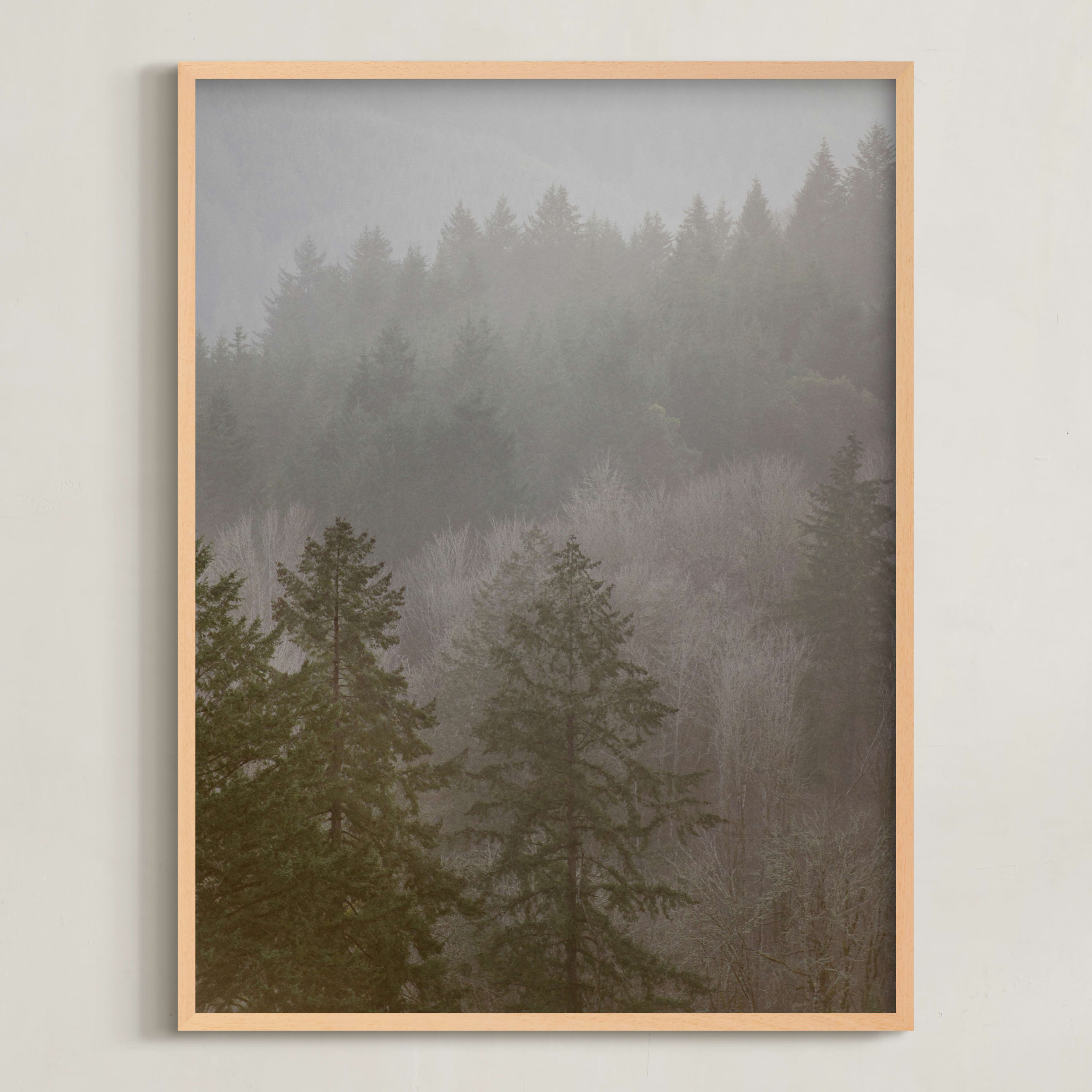"Pine forest" - Photography Limited Edition Art Print by Crystal Lynn Collins. | Minted