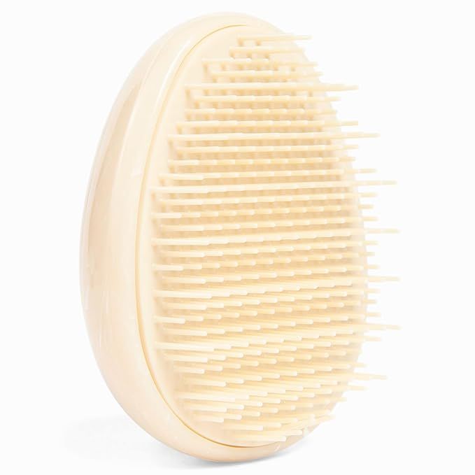 B to Z Edit Mini Hair Detangler Brush and Scalp Massager, Mini Hair Brush for Purse, Hair Care Sc... | Amazon (US)