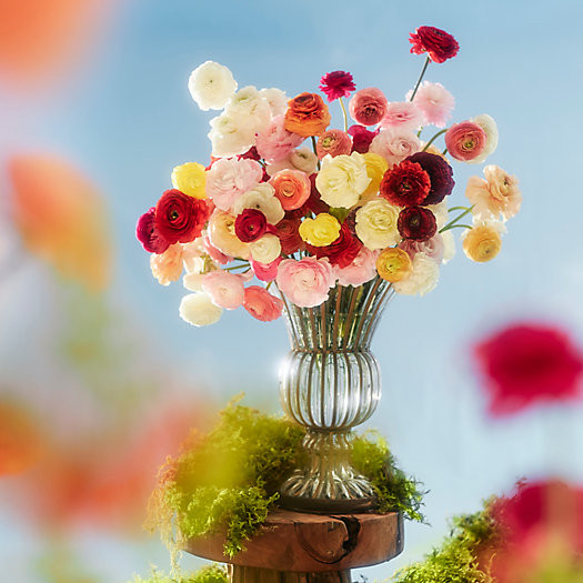 Glass + Iron Flare Vase | Terrain