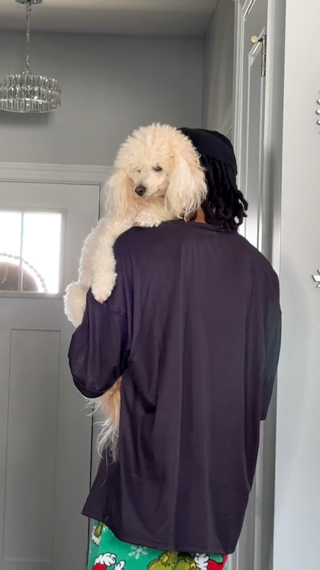 Kali is enjoying her diva treatment. Look at her facial expression. It screams “unbothered and content.” 🤣 #creatorsearchinsights #poodles #fourleggedfamily #toypoodle #divadog 

#LTKdayinmylife #LTKvlog #LTKHome