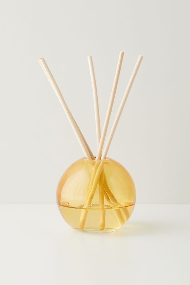 Paddywax Realm Reed Diffuser & Fragrance Oil Set - Golden | Urban Outfitters (US and RoW)