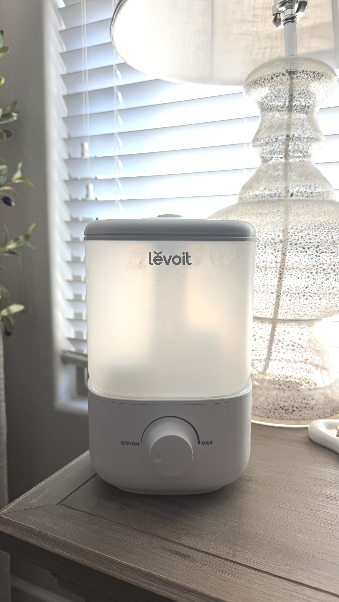 #LTKFindsUnder50 #LTKHome #LTKSeasonal