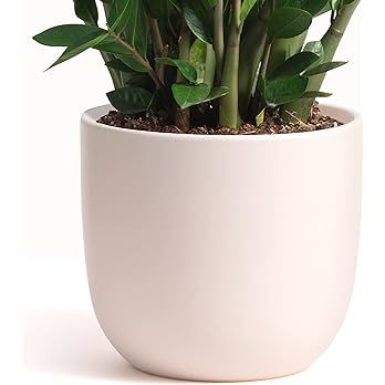PEACH & PEBBLE 12 Inch Pink Ceramic Planter. Contour Plant Pot for House Plants and Indoor Plants... | Amazon (US)