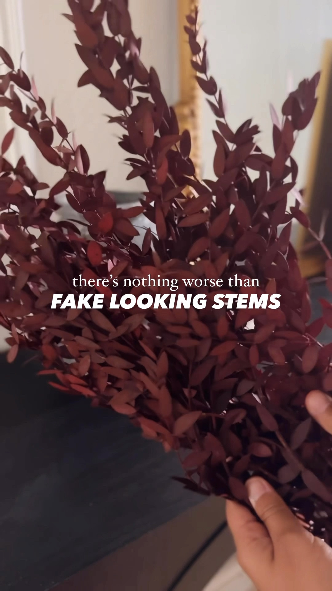 Fall home decor finds under $25! 
Preserved eucalyptus 
Fall home
Halloween home
Amazon home
Target home
Studio McGee

#LTKHome #LTKSeasonal #LTKVideo