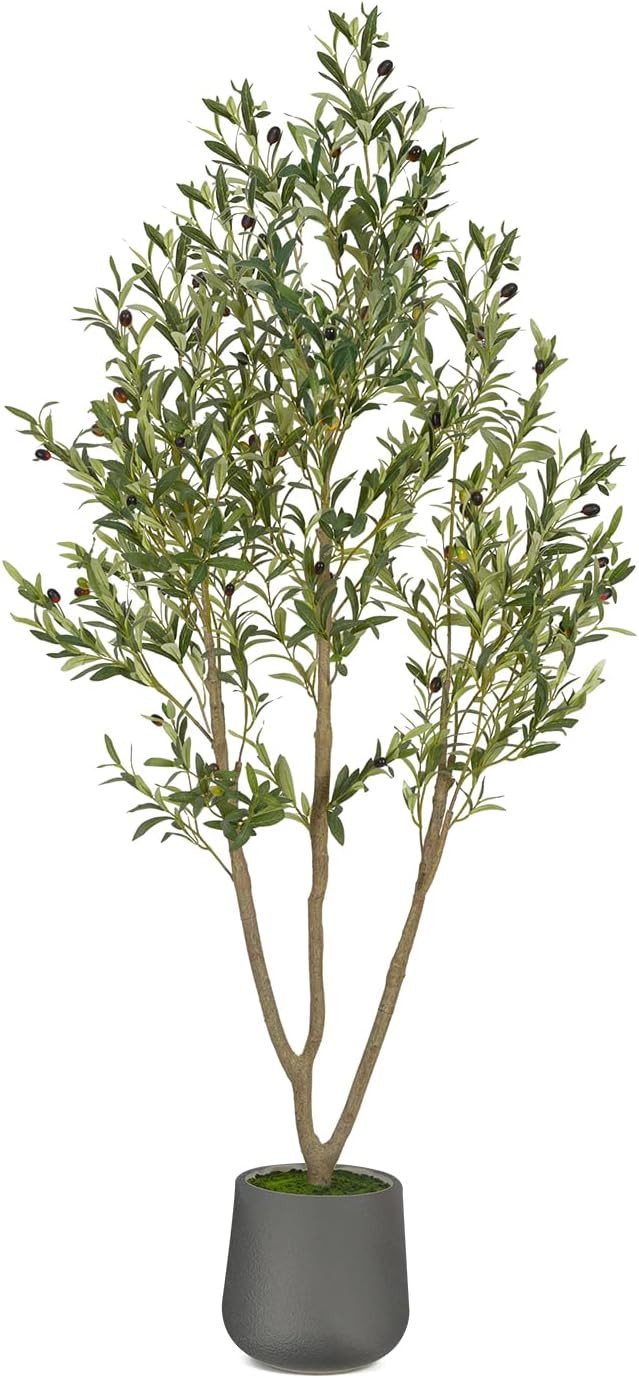 Olive Trees Artificial Indoor, 6FT Tall Faux Olive Tree with Gray Tall Planter, Artificial Plants... | Amazon (US)