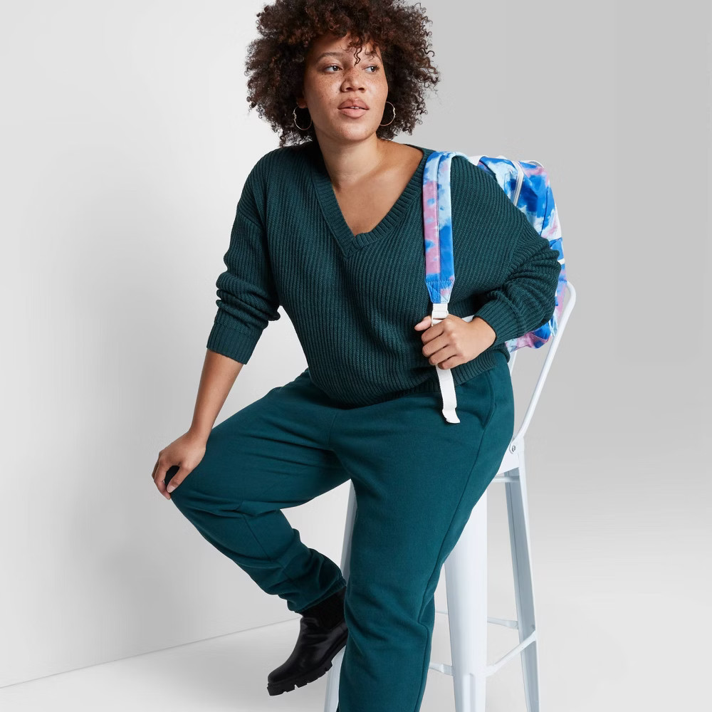 Women's Plus Size V-Neck Pullover Sweater - Wild Fable™ | Target