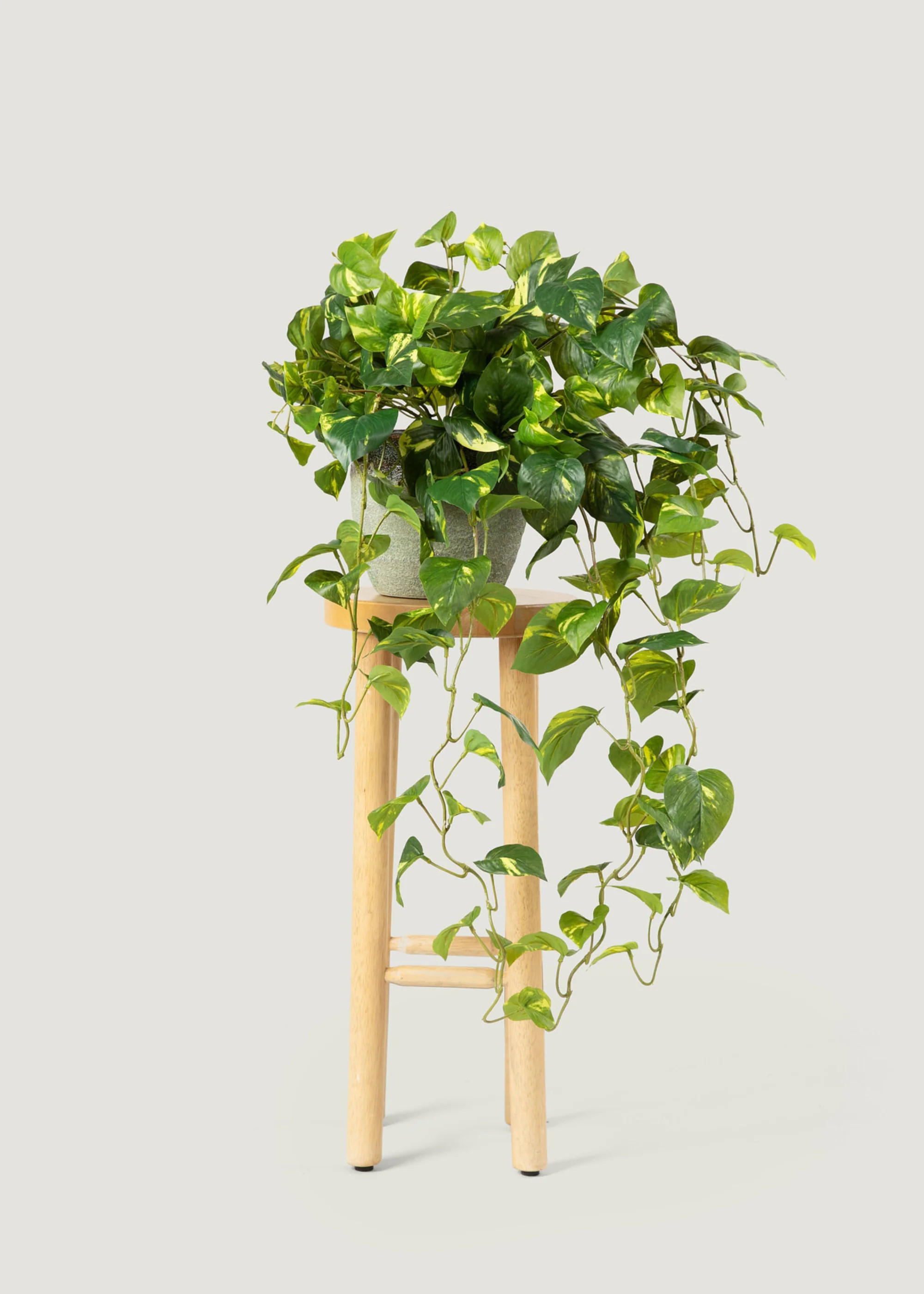 Real Touch Pothos Plant | Realistic Fake Hanging Plants | Afloral | Afloral