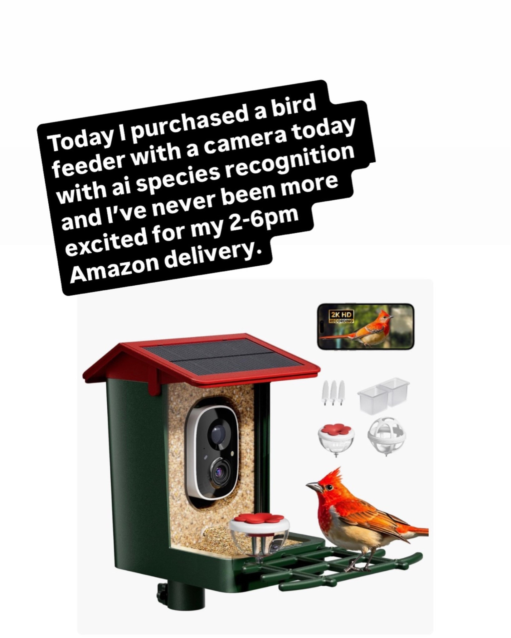 Today I purchased a bird feeder with a camera today with ai species recognition and I’ve never been more excited for my 2-6pm Amazon delivery.

#LTKHome #LTKOver40 #LTKSeasonal
