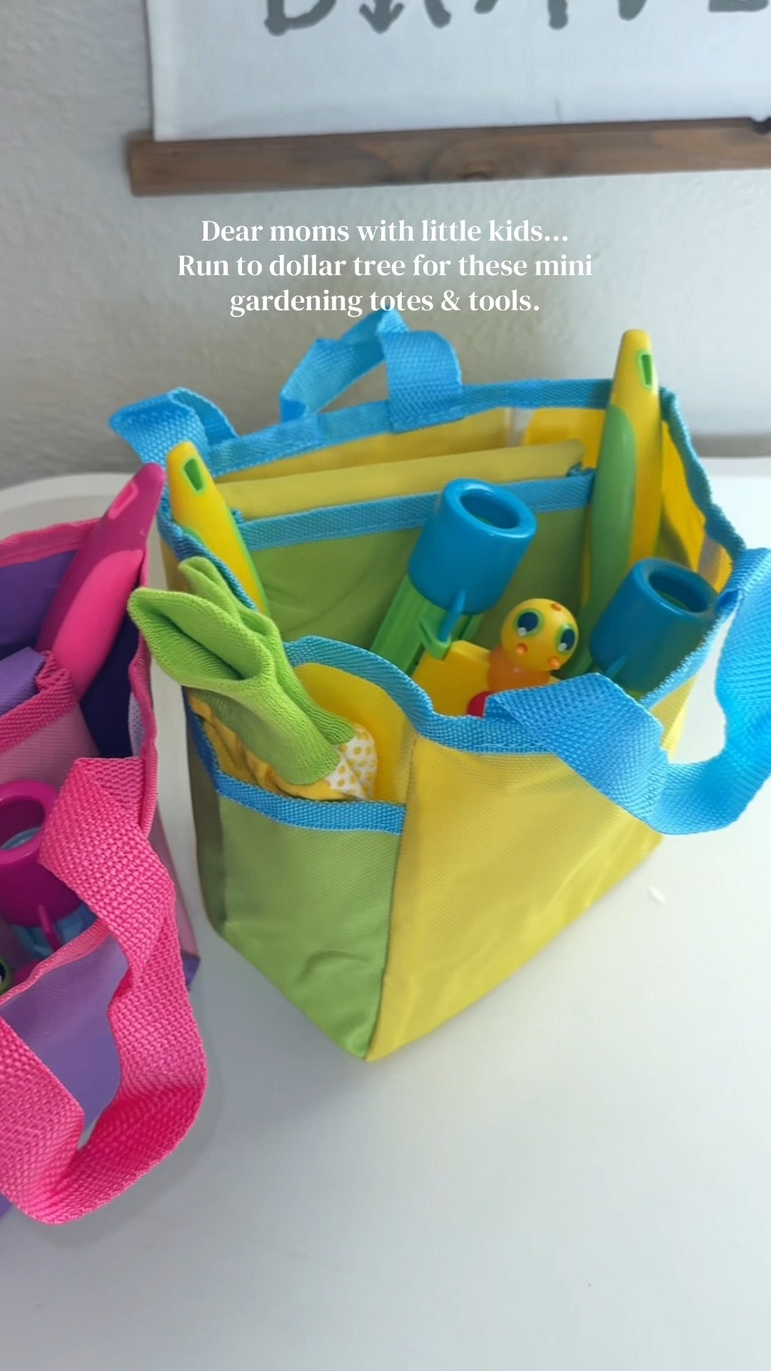 $6 each to put together 🥰

*binoculars are not from dollar tree but I have them saved in my storefront*

#dollartreefinds #toddlermomlife #gardening 

#LTKmomlife #LTKKids #LTKSeasonal