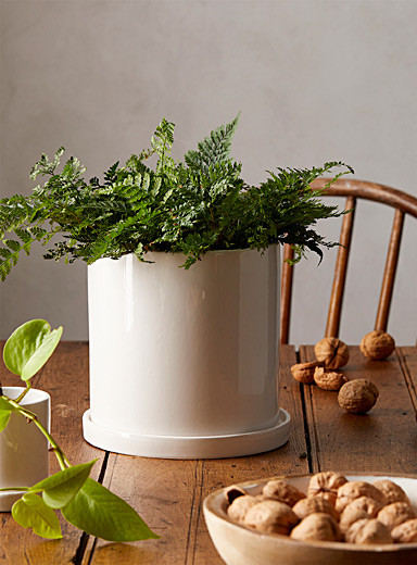 Large minimalist planter with saucer6.25 in | Simons