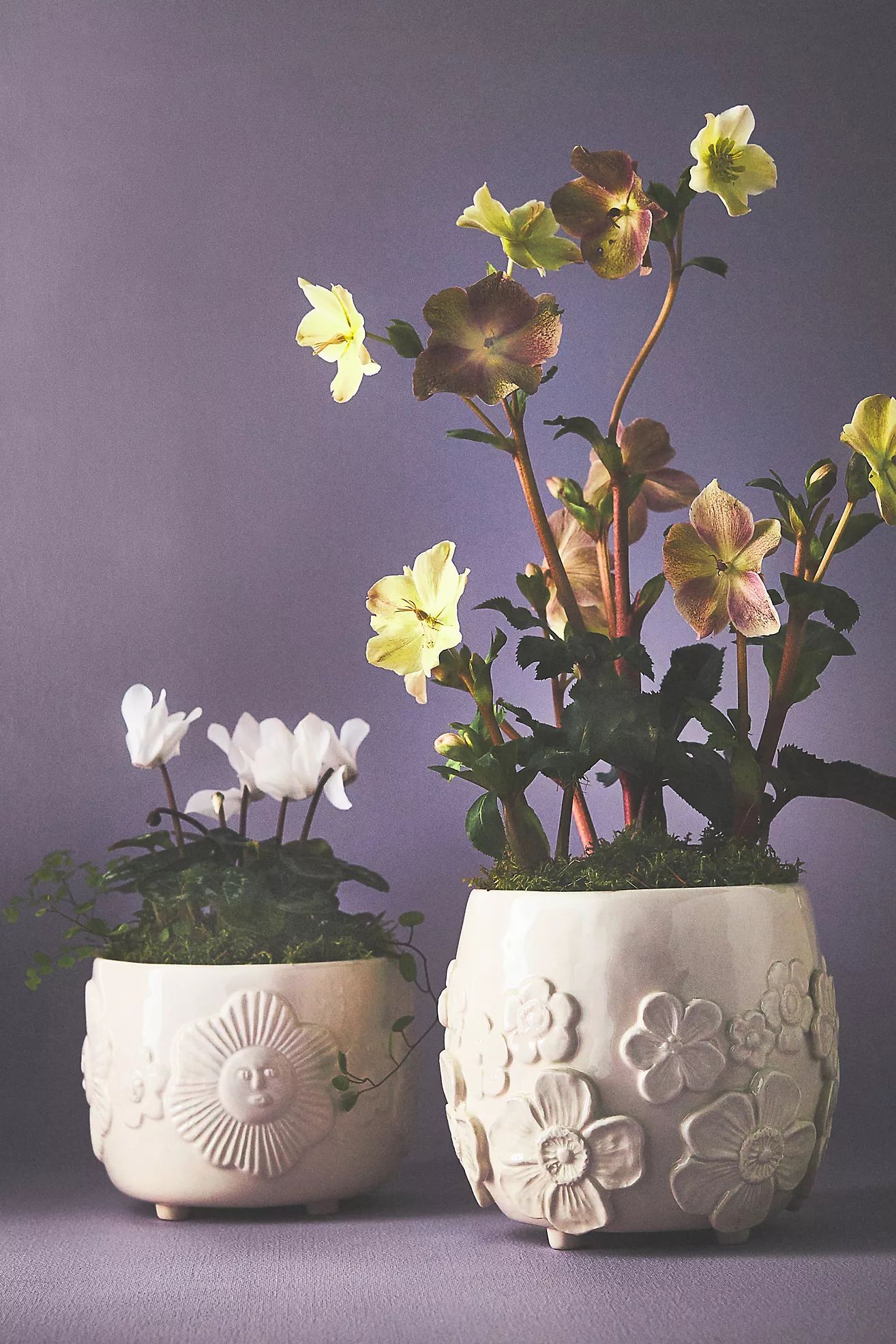 Francesca Kaye Garden Pot | Anthropologie (US)