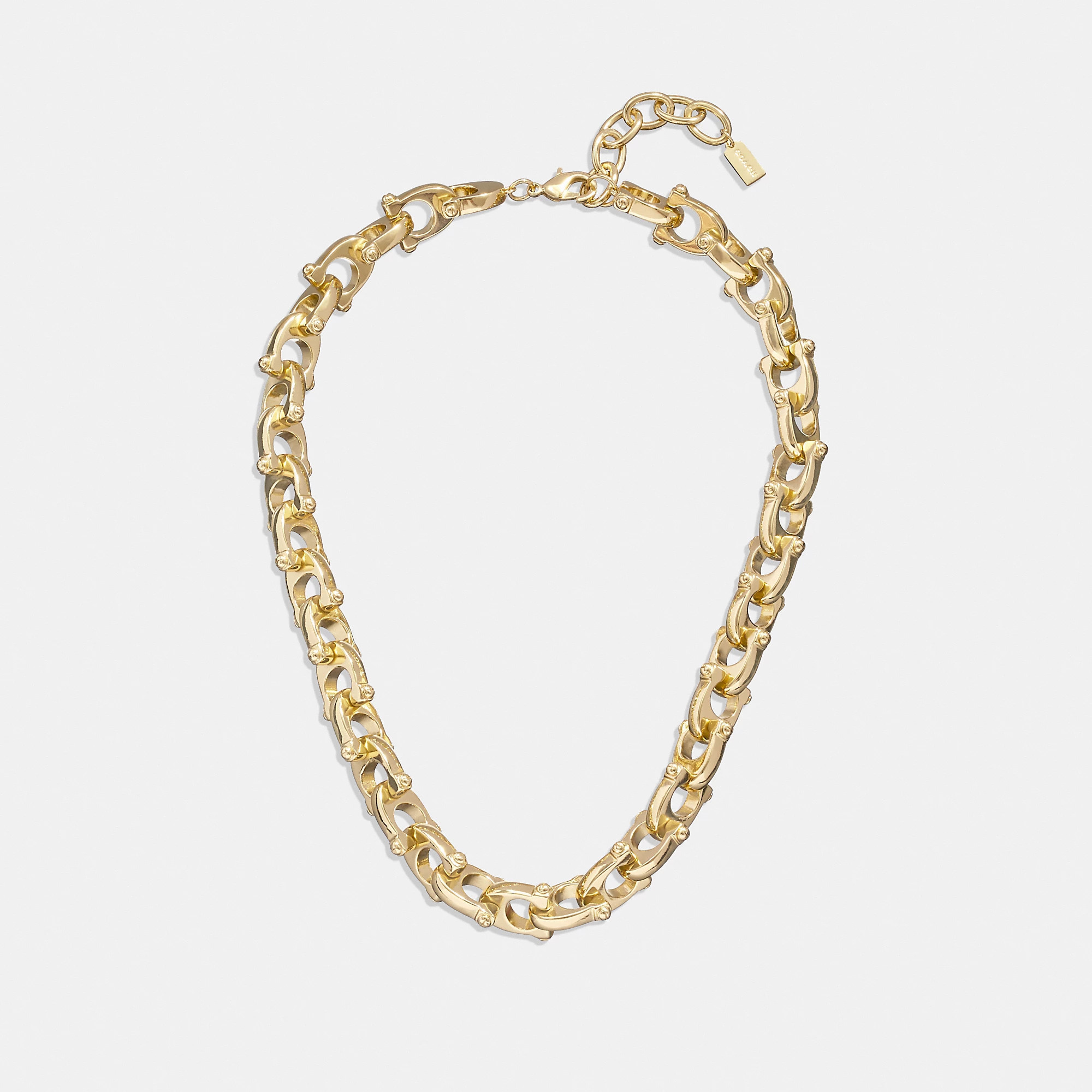 Chunky Signature Chain Link Necklace | Coach (US)