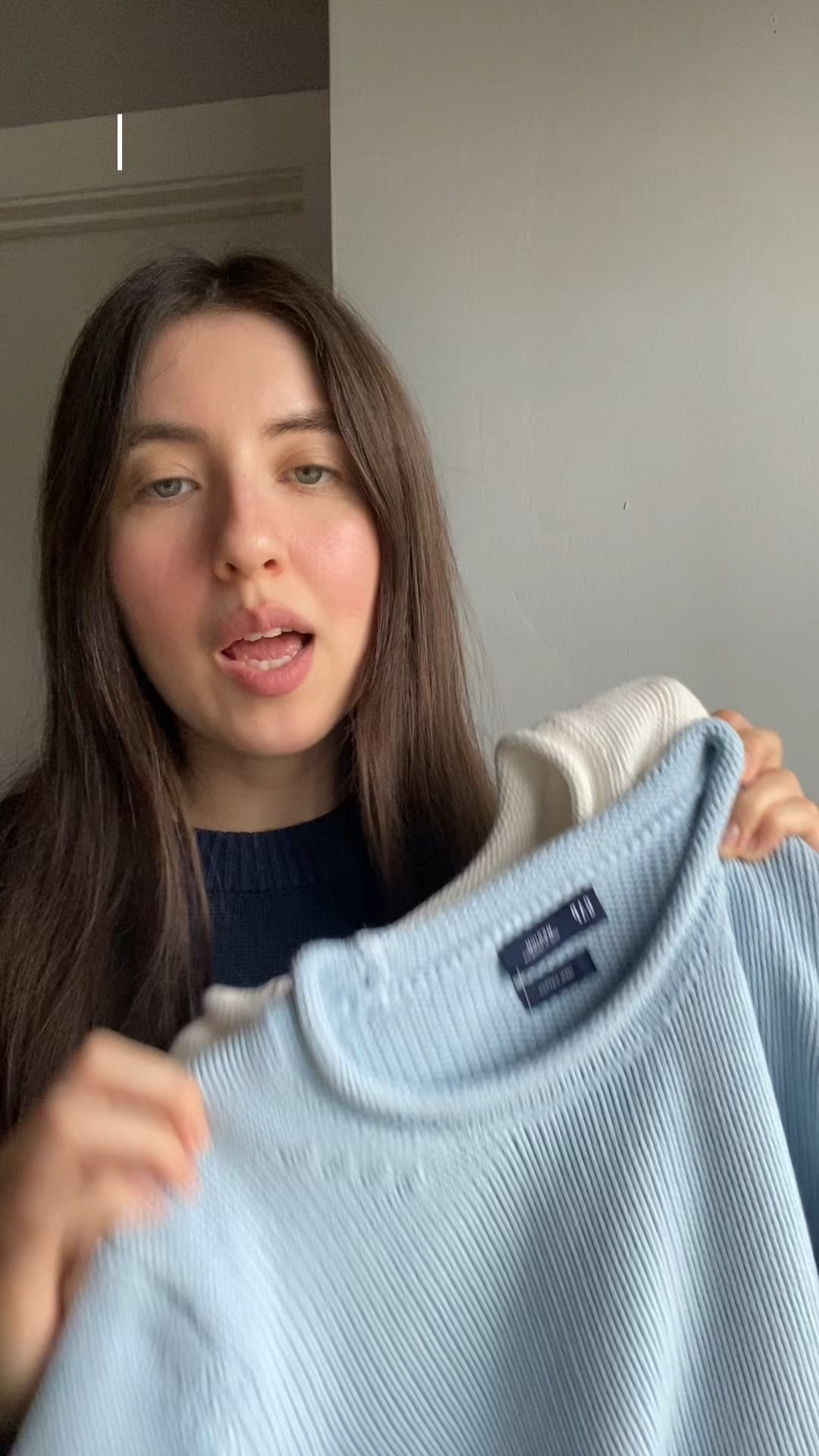 GAP Rollneck sweater 

#LTKSaleAlert #LTKHoliday #LTKFindsUnder100