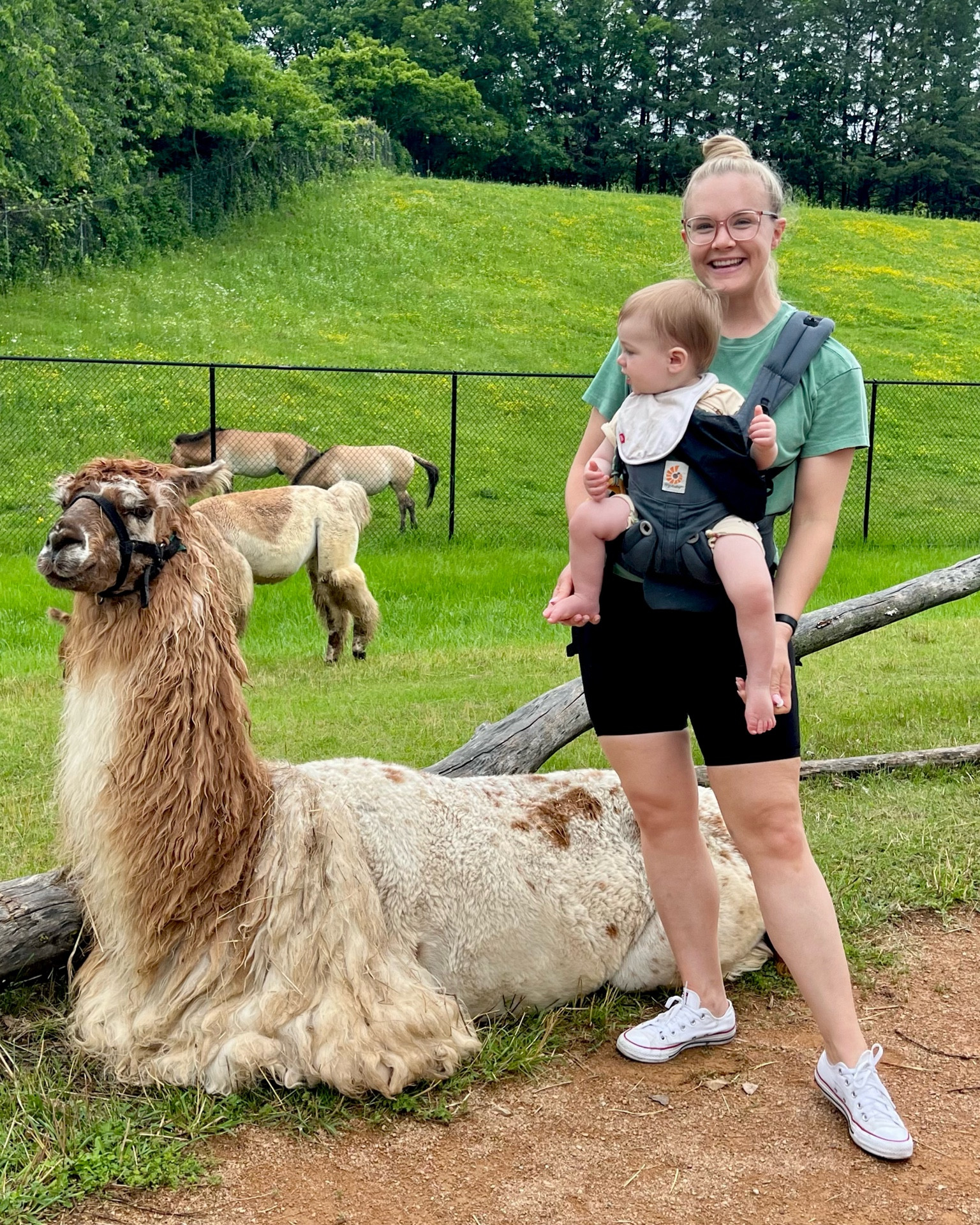 llama llama 🦙 best baby carrier for being out and about at places like the zoo! 

#LTKBaby #LTKBump #LTKFamily