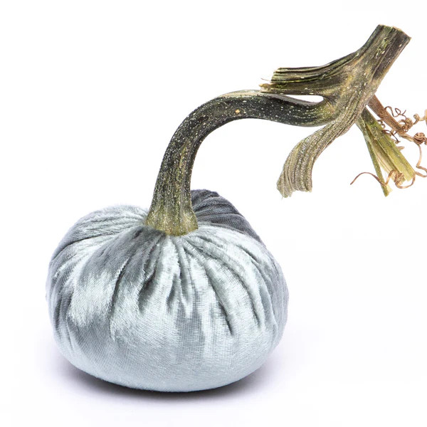 Blue Ice Silk Velvet Pumpkin | Hot Skwash