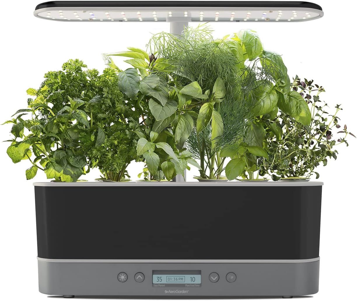 AeroGarden Harvest Elite Slim Indoor Garden Hydroponic System with LED Grow Light and Herb Kit, H... | Amazon (US)