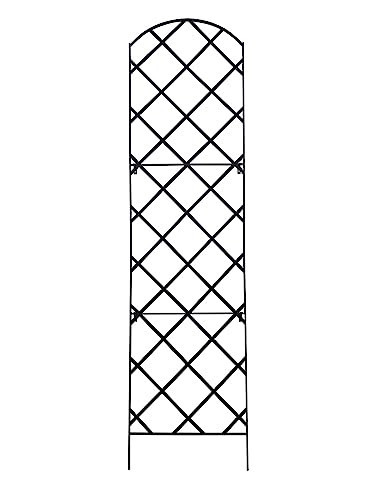 Giant Trellis, 108” high (9’ Tall) by 28” Wide Trellis with Arched top - by Meranti Home + Garden | Amazon (US)