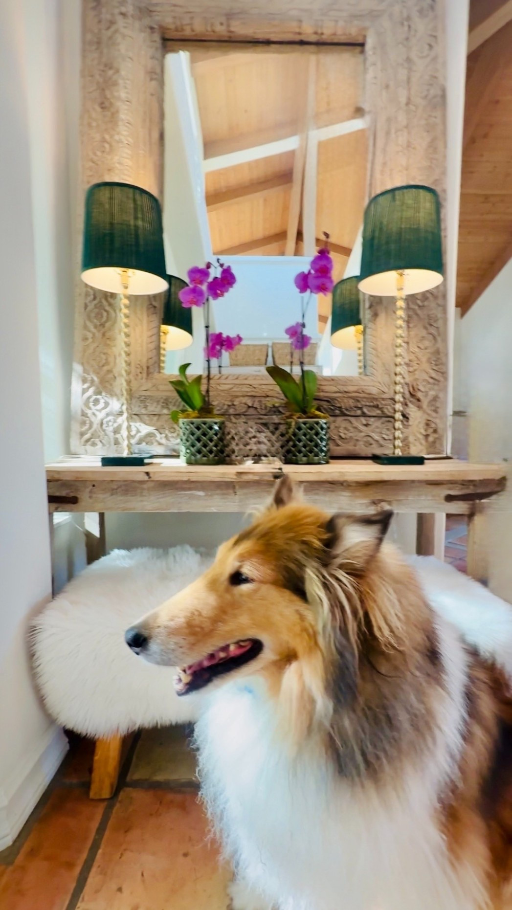 Spring Home Decor Entryway Refresh! 🌸

I love emerald green decor and these lamps added just the right touch of color. These gold and green lamps, orchids, and vintage mirror & entryway table work together to create a casual yet elegant vibe.💕

#entrywaytable #entryway #entrywaydecor
#marneystidbits #olivegreen

#LTKspringtrends #LTKspring #LTKHome