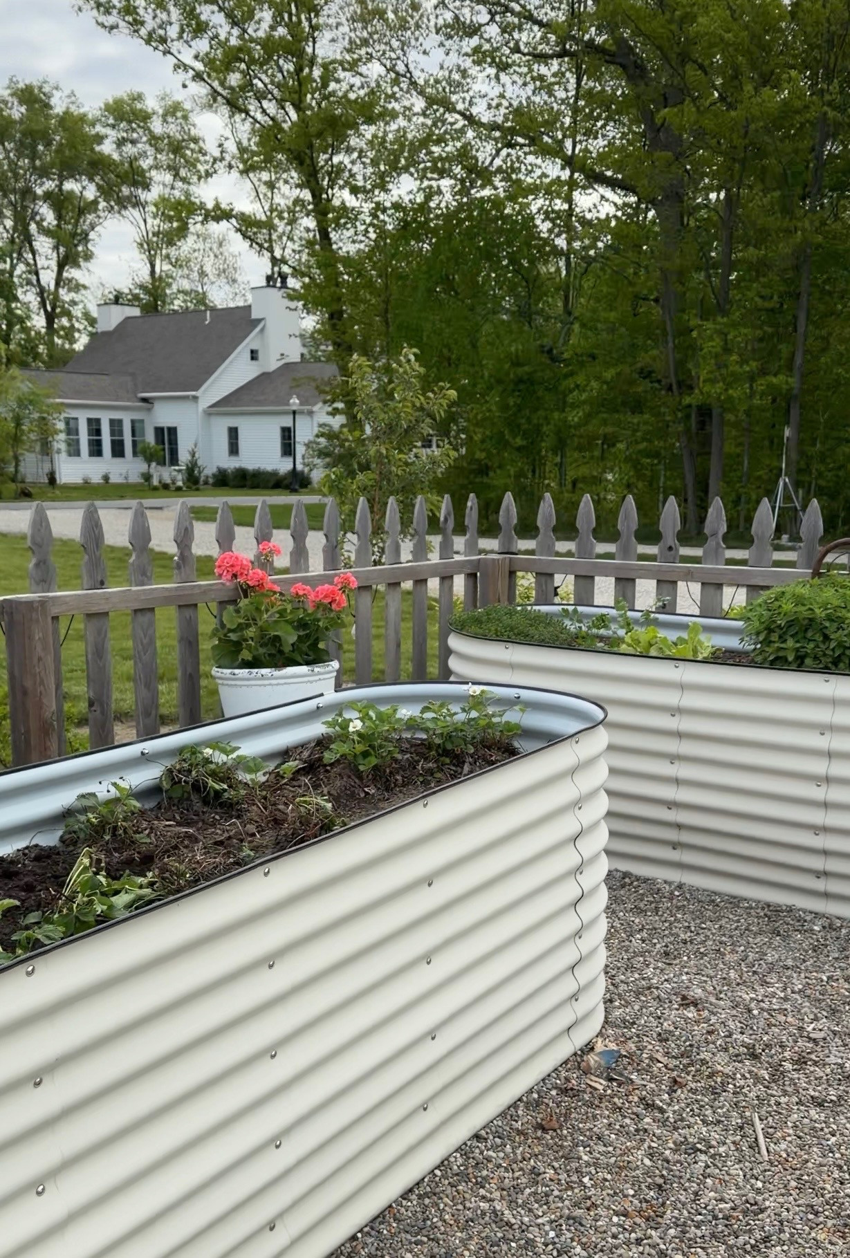 We love our Vego raised garden beds. They help keep the critters out of our fruits and veggies and we don't have to bend down to garden.  

 #LTKSeasonal
