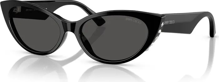Jimmy Choo 55mm Cat Eye Sunglasses | Nordstrom | Nordstrom