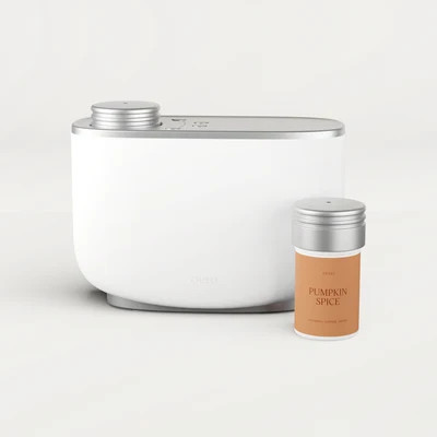 Aera & Pumpkin Spice | Aera For Home