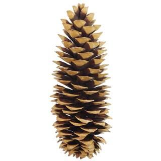 12" Pinecone Accent by Ashland® | Michaels Stores