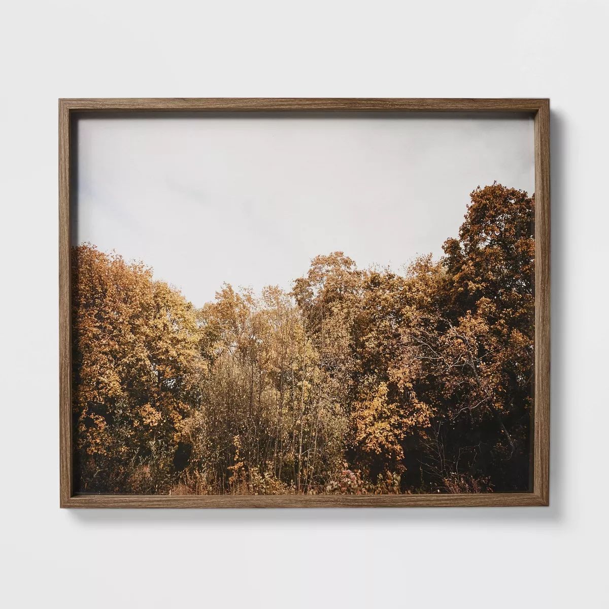 36" x 30" Golden Forest Framed … curated on LTK