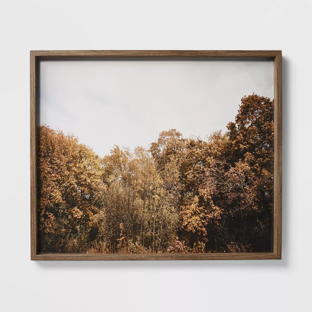 36" x 30" Golden Forest Framed Underglass Brown - Threshold™ designed with Studio McGee | Target